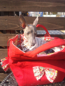 犬の自転車用キャリーバッグ ...