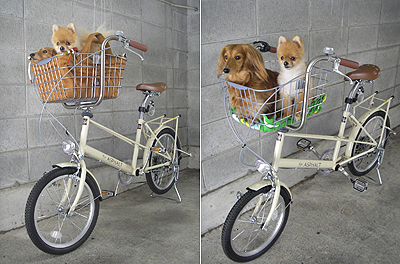 【マルチキャリーケース】小型犬など自転車のかごに入れられるバッグ！